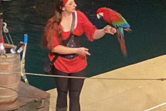 IMG_3755